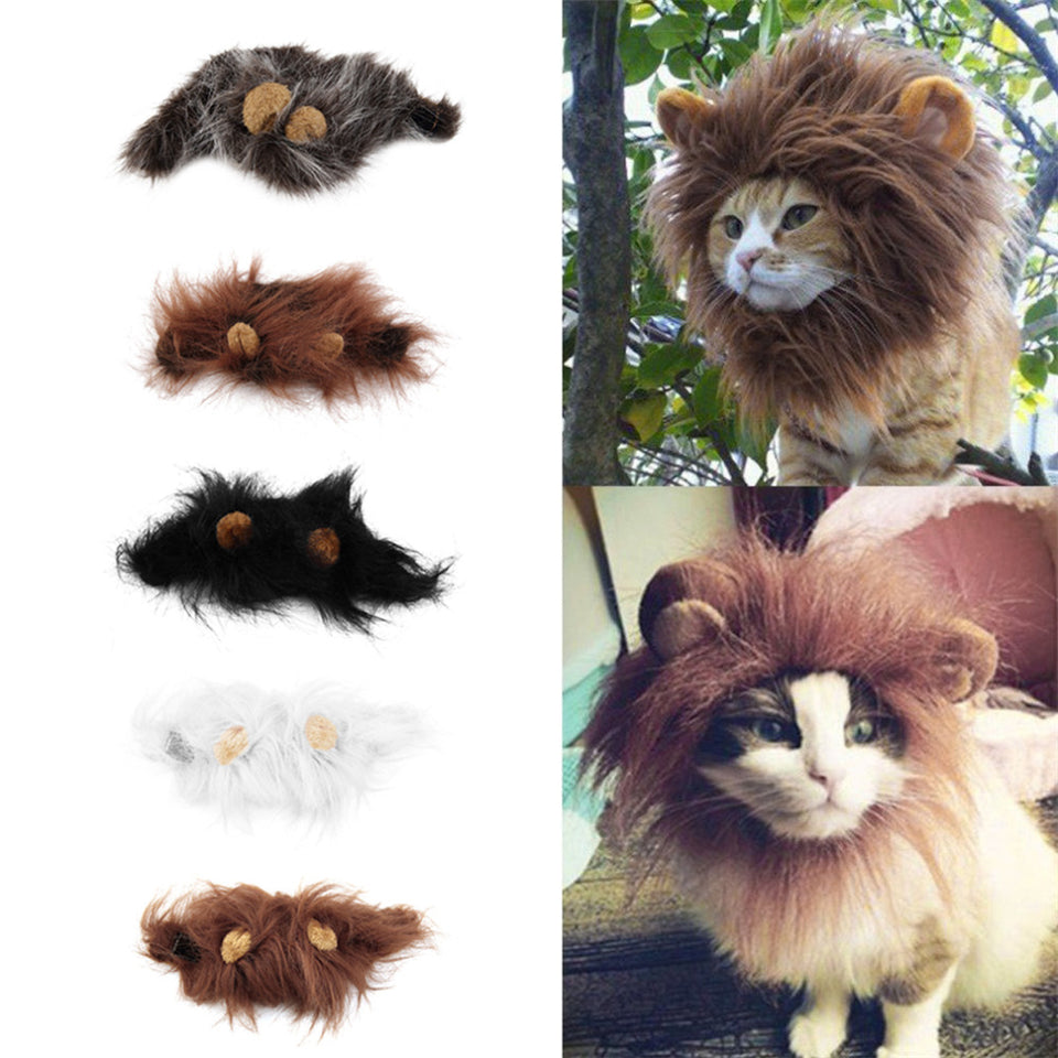 Turn your cat into a lion (after Christmas)